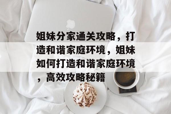 姐妹分家通关攻略,打造和谐家庭环境,姐妹如何打造和谐家庭环境,高效攻略秘籍 姐妹分家通关攻略,打造和谐家庭环境,姐妹如何打造和谐家庭环境,高效攻略秘籍
