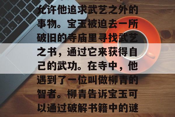 宝玉作为清朝贵族之子，一直渴望了解并掌握一门武功。然而他的父亲是个严厉的商人，不允许他追求武艺之外的事物。宝玉被迫去一所破旧的寺庙里寻找武艺之书，通过它来获得自己的武功。在寺中，他遇到了一位叫做柳青的智者。柳青告诉宝玉可以通过破解书籍中的谜题和挑战对手的智慧来获得武艺。，宝玉求学破寺庙求武艺柳青智者解谜挑战