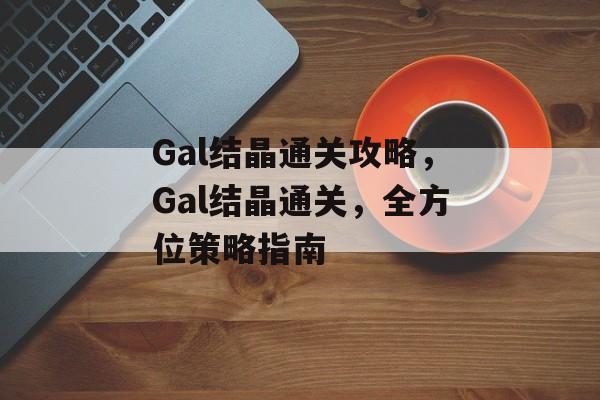 Gal结晶通关攻略，Gal结晶通关，全方位策略指南