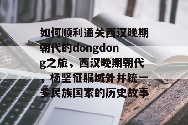 如何顺利通关西汉晚期朝代的dongdong之旅，西汉晚期朝代，杨坚征服域外并统一多民族国家的历史故事