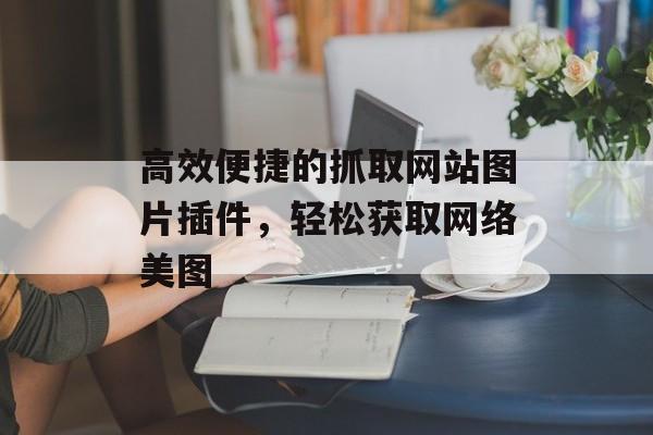 高效便捷的抓取网站图片插件，轻松获取网络美图