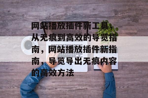 网站播放插件新工具，从无痕到高效的导览指南，网站播放插件新指南，导览导出无痕内容的高效方法