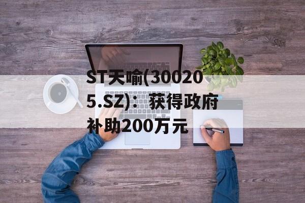 ST天喻(300205.SZ)：获得政府补助200万元