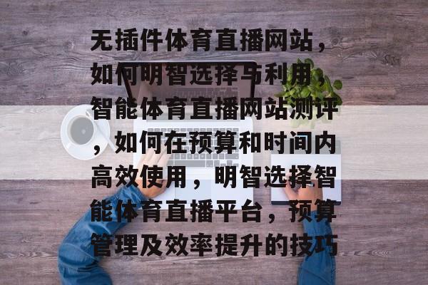 无插件体育直播网站，如何明智选择与利用，智能体育直播网站测评，如何在预算和时间内高效使用，明智选择智能体育直播平台，预算管理及效率提升的技巧