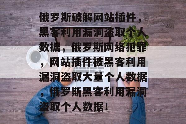 俄罗斯破解网站插件,黑客利用漏洞盗取个人数据,俄罗斯网络犯罪,网站插件被黑客利用漏洞盗取大量个人数据,俄罗斯黑客利用漏洞盗取个人数据! 俄罗斯破解网站插件,黑客利用漏洞盗取个人数据,俄罗斯网络犯罪,网站插件被黑客利用漏洞盗取大量个人数据,俄罗斯黑客利用漏洞盗取个人数据!