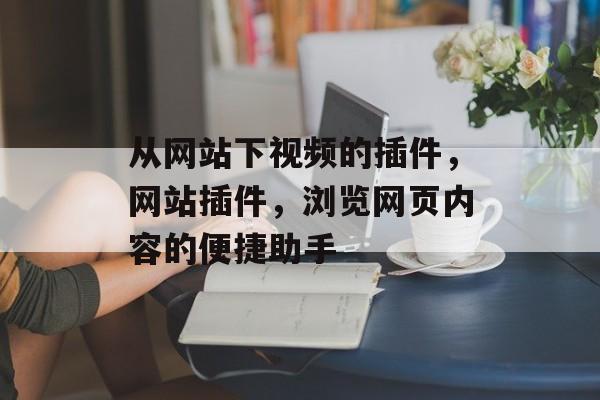 从网站下视频的插件，网站插件，浏览网页内容的便捷助手