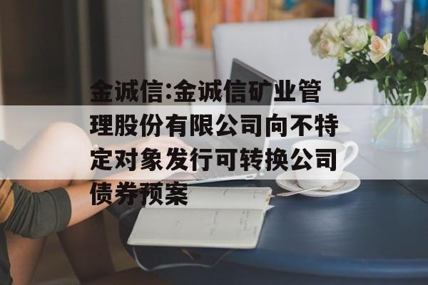 金诚信:金诚信矿业管理股份有限公司向不特定对象发行可转换公司债券预案 金诚信:金诚信矿业管理股份有限公司向不特定对象发行可转换公司债券预案