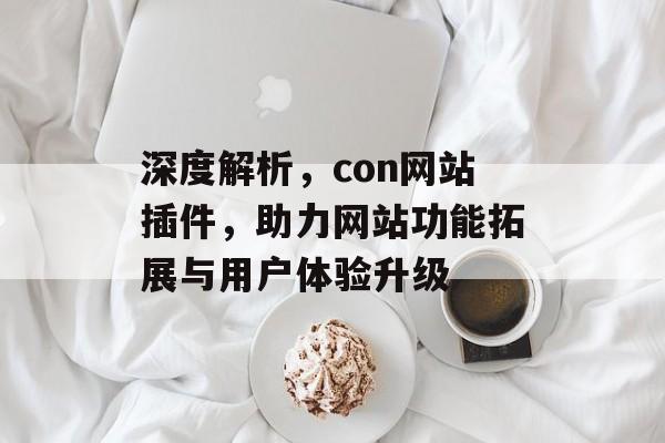 深度解析,con网站插件,助力网站功能拓展与用户体验升级 深度解析,con网站插件,助力网站功能拓展与用户体验升级