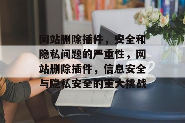 网站删除插件，安全和隐私问题的严重性，网站删除插件，信息安全与隐私安全的重大挑战