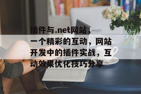 插件与.net网站，一个精彩的互动，网站开发中的插件实战，互动效果优化技巧分享