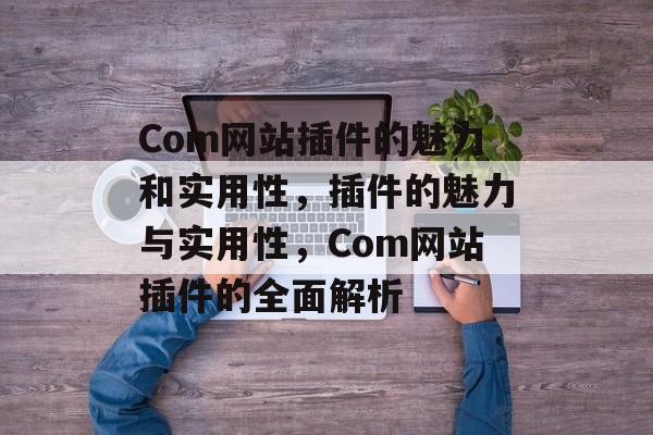 Com网站插件的魅力和实用性,插件的魅力与实用性,Com网站插件的全面解析 Com网站插件的魅力和实用性,插件的魅力与实用性,Com网站插件的全面解析