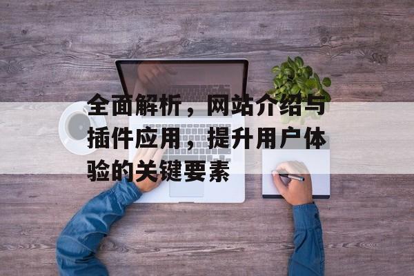 全面解析,网站介绍与插件应用,提升用户体验的关键要素 全面解析,网站介绍与插件应用,提升用户体验的关键要素