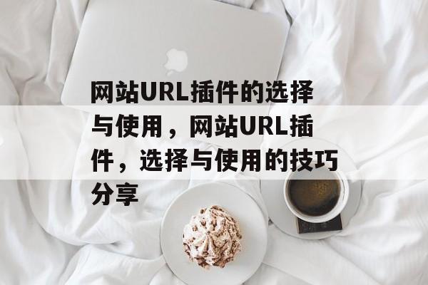 网站URL插件的选择与使用，网站URL插件，选择与使用的技巧分享