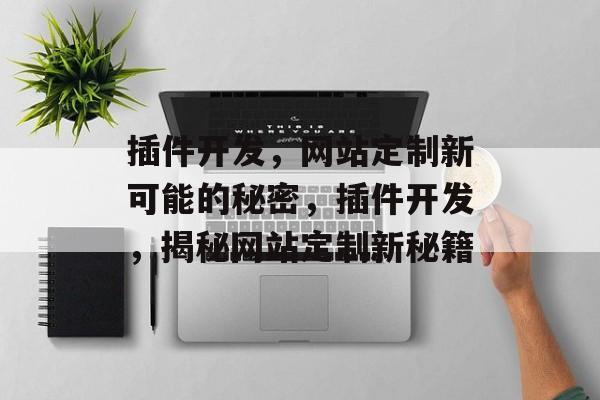 插件开发，网站定制新可能的秘密，插件开发，揭秘网站定制新秘籍