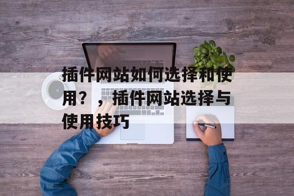 插件网站如何选择和使用？，插件网站选择与使用技巧