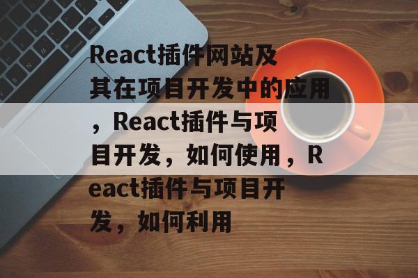 React插件网站及其在项目开发中的应用，React插件与项目开发，如何使用，React插件与项目开发，如何利用