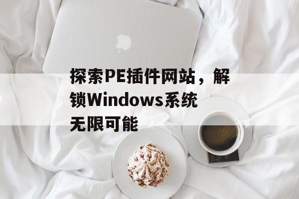 探索PE插件网站，解锁Windows系统无限可能