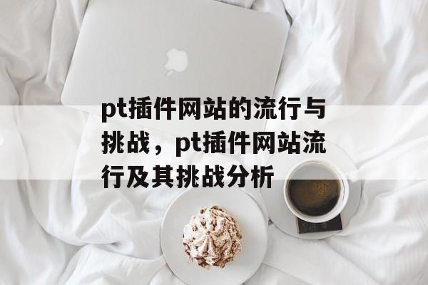 pt插件网站的流行与挑战，pt插件网站流行及其挑战分析