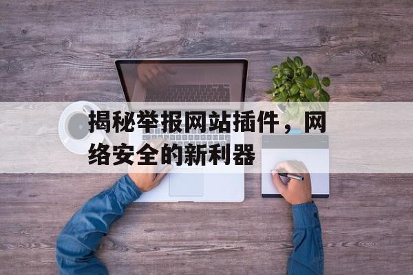 揭秘举报网站插件,网络安全的新利器 揭秘举报网站插件,网络安全的新利器