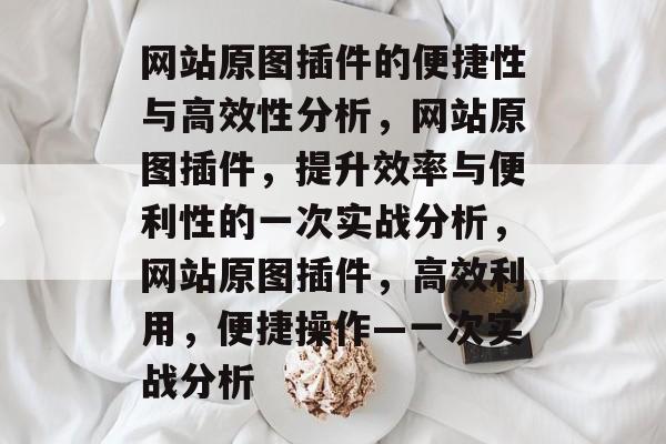 网站原图插件的便捷性与高效性分析，网站原图插件，提升效率与便利性的一次实战分析，网站原图插件，高效利用，便捷操作—一次实战分析