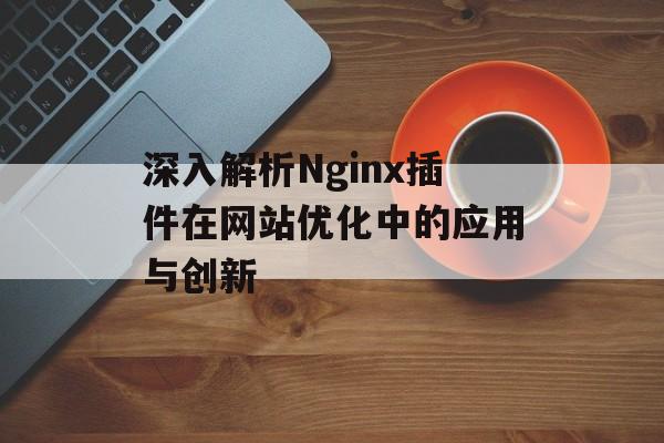 深入解析Nginx插件在网站优化中的应用与创新 深入解析Nginx插件在网站优化中的应用与创新