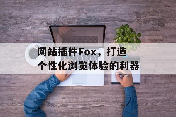网站插件Fox，打造个性化浏览体验的利器