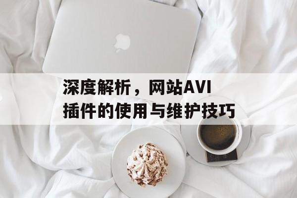 深度解析，网站AVI插件的使用与维护技巧