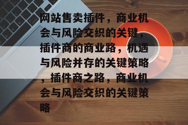 网站售卖插件，商业机会与风险交织的关键，插件商的商业路，机遇与风险并存的关键策略，插件商之路，商业机会与风险交织的关键策略