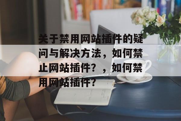 关于禁用网站插件的疑问与解决方法,如何禁止网站插件?,如何禁用网站插件? 关于禁用网站插件的疑问与解决方法,如何禁止网站插件?,如何禁用网站插件?