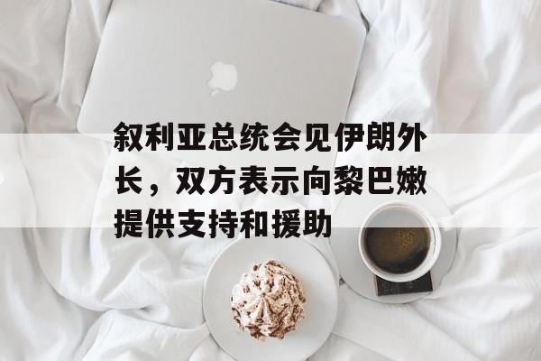 叙利亚总统会见伊朗外长,双方表示向黎巴嫩提供支持和援助 叙利亚总统会见伊朗外长,双方表示向黎巴嫩提供支持和援助