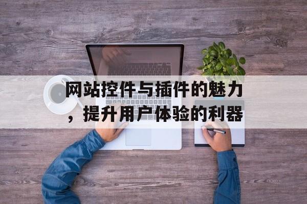 网站控件与插件的魅力，提升用户体验的利器