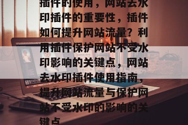 插件的使用,网站去水印插件的重要性,插件如何提升网站流量?利用插件保护网站不受水印影响的关键点,网站去水印插件使用指南,提升网站流量与保护网站不受水印的影响的关键点 插件的使用,网站去水印插件的重要性,插件如何提升网站流量?利用插件保护网站不受水印影响的关键点,网站去水印插件使用指南,提升网站流量与保护网站不受水印的影响的关键点