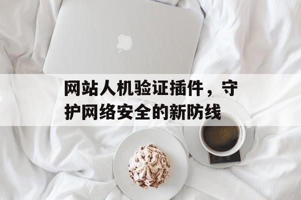 网站人机验证插件，守护网络安全的新防线