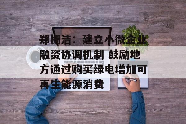 郑栅洁：建立小微企业融资协调机制 鼓励地方通过购买绿电增加可再生能源消费