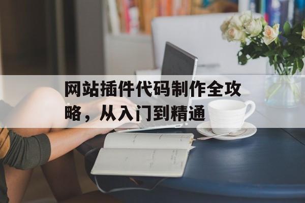 网站插件代码制作全攻略，从入门到精通