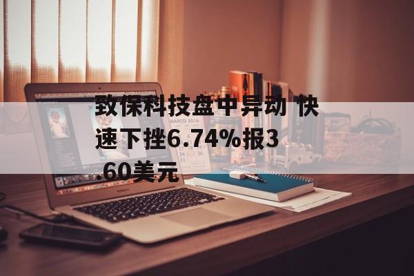 致保科技盘中异动 快速下挫6.74%报3.60美元