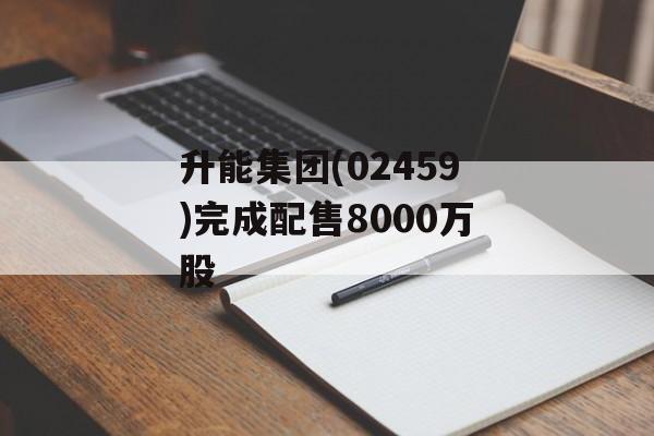 升能集团(02459)完成配售8000万股
