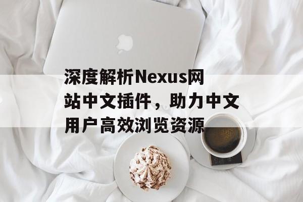 深度解析Nexus网站中文插件，助力中文用户高效浏览资源