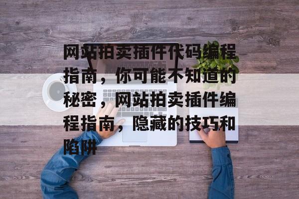 网站拍卖插件代码编程指南，你可能不知道的秘密，网站拍卖插件编程指南，隐藏的技巧和陷阱