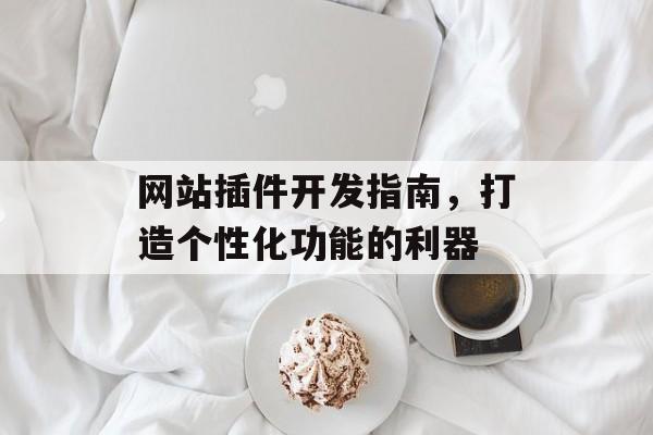 网站插件开发指南,打造个性化功能的利器 网站插件开发指南,打造个性化功能的利器