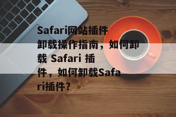 Safari网站插件卸载操作指南，如何卸载 Safari 插件，如何卸载Safari插件？