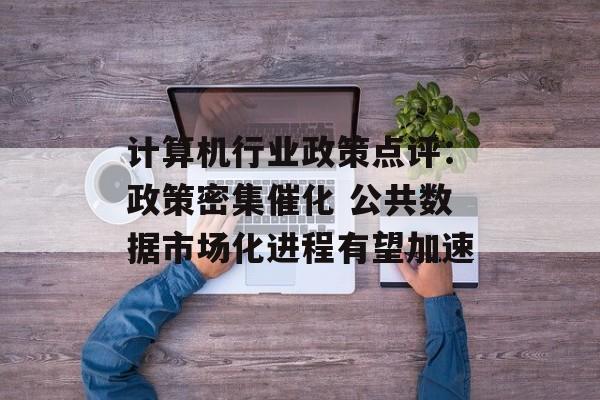 计算机行业政策点评:政策密集催化 公共数据市场化进程有望加速 计算机行业政策点评:政策密集催化 公共数据市场化进程有望加速