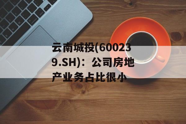 云南城投(600239.SH):公司房地产业务占比很小 云南城投(600239.SH):公司房地产业务占比很小