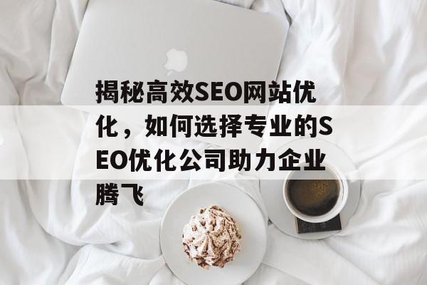 揭秘高效SEO网站优化，如何选择专业的SEO优化公司助力企业腾飞