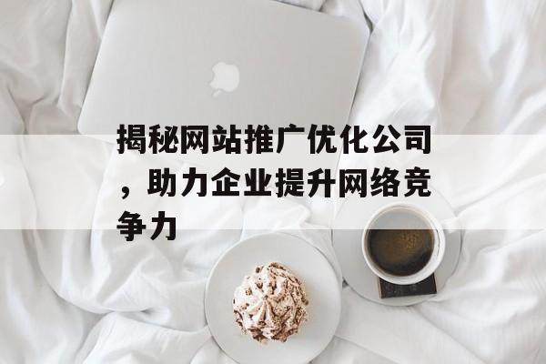 揭秘网站推广优化公司，助力企业提升网络竞争力
