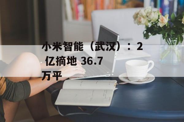 小米智能(武汉):2 亿摘地 36.7 万平 小米智能(武汉):2 亿摘地 36.7 万平