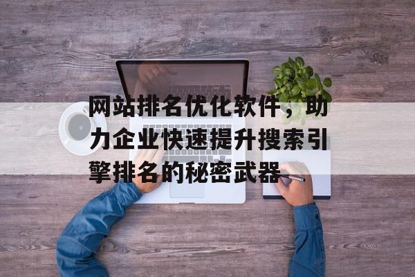 网站排名优化软件，助力企业快速提升搜索引擎排名的秘密武器