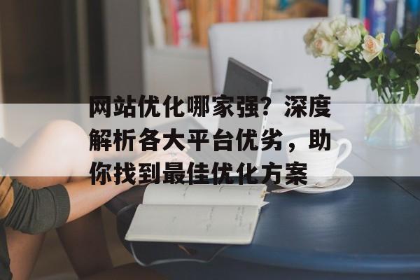 网站优化哪家强？深度解析各大平台优劣，助你找到最佳优化方案