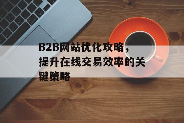 B2B网站优化攻略，提升在线交易效率的关键策略