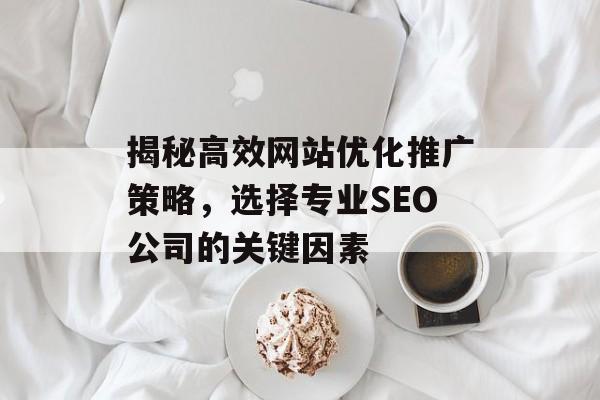 揭秘高效网站优化推广策略,选择专业SEO公司的关键因素 揭秘高效网站优化推广策略,选择专业SEO公司的关键因素